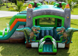 DINO20DIVE20WEBSITE203 1695928325 Dino Dive Dual Lane Bounce and Slide (wet or dry)